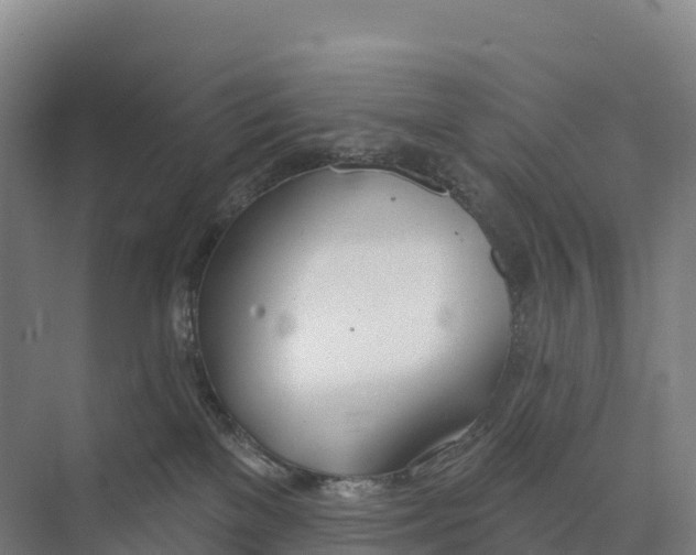 X0000073970137200609111752