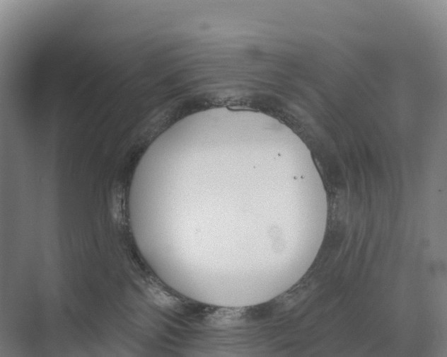 X0000073970138200609111752