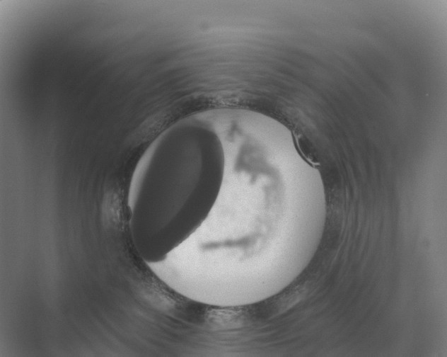 X0000073970139200609111752