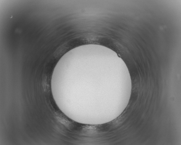 X0000073970140200609111752