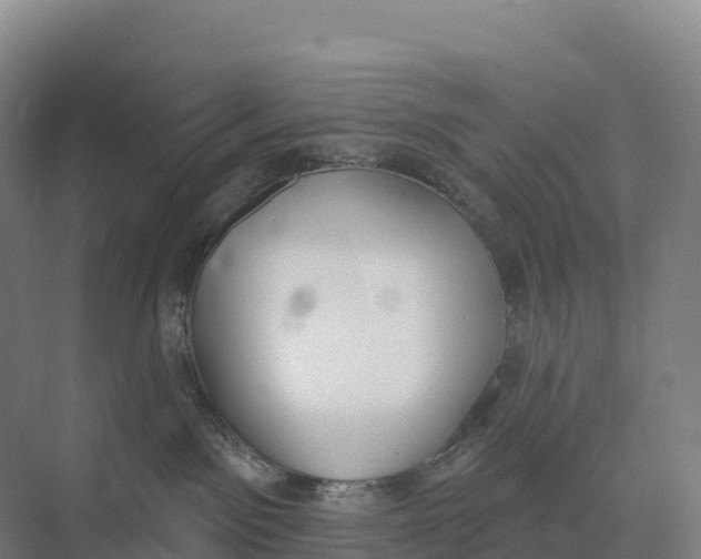 X0000073970141200609111751