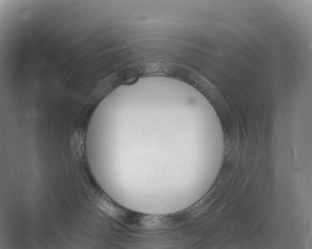 X0000073970142200609111751