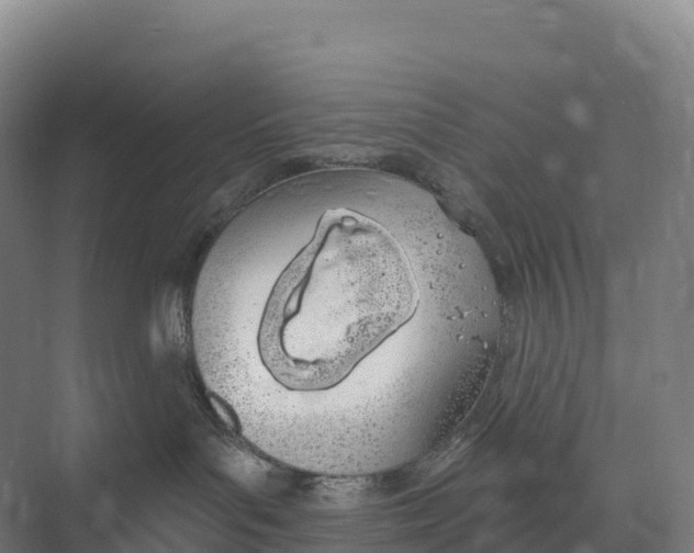 X0000073970143200609111751