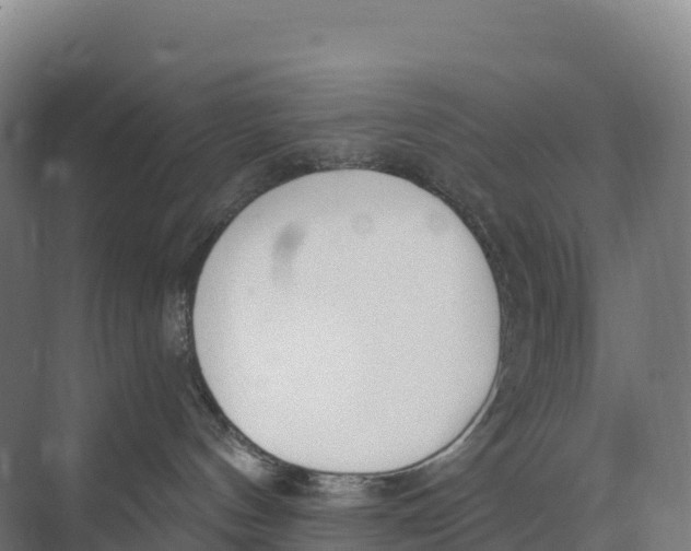 X0000073970144200609111751