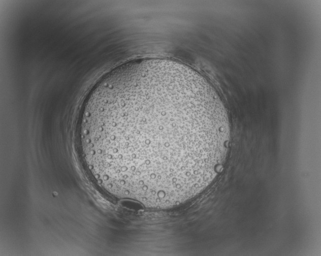 X0000073970145200609111751