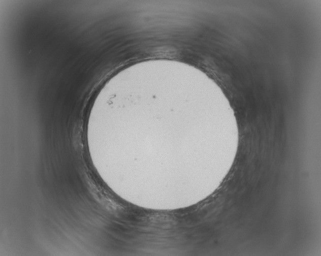 X0000073970146200609111751