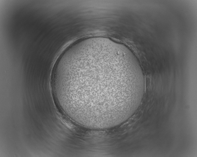 X0000073970147200609111751