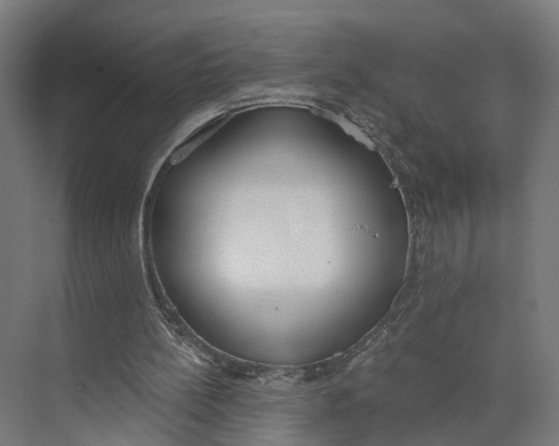 X0000073970148200609111751