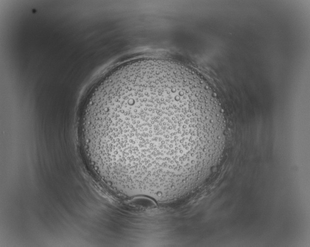 X0000073970149200609111751