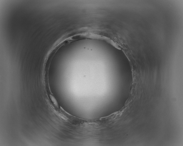 X0000073970150200609111751