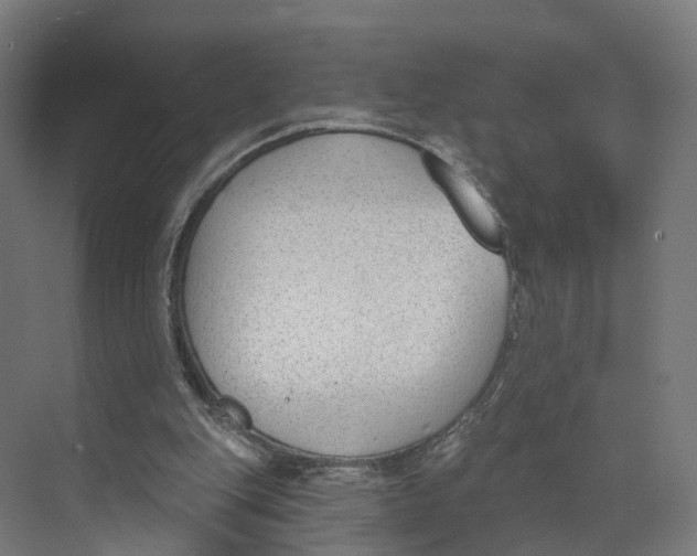 X0000073970151200609111751