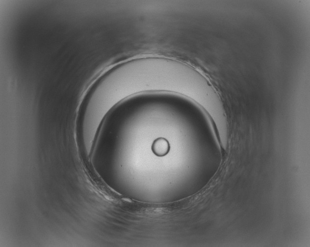 X0000073970152200609111751