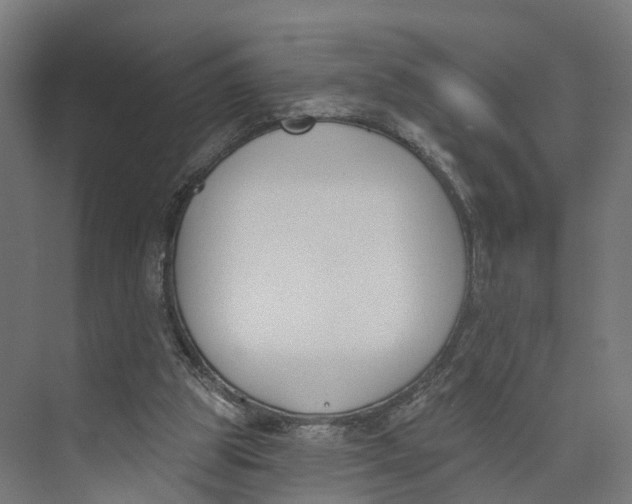 X0000073970153200609111751