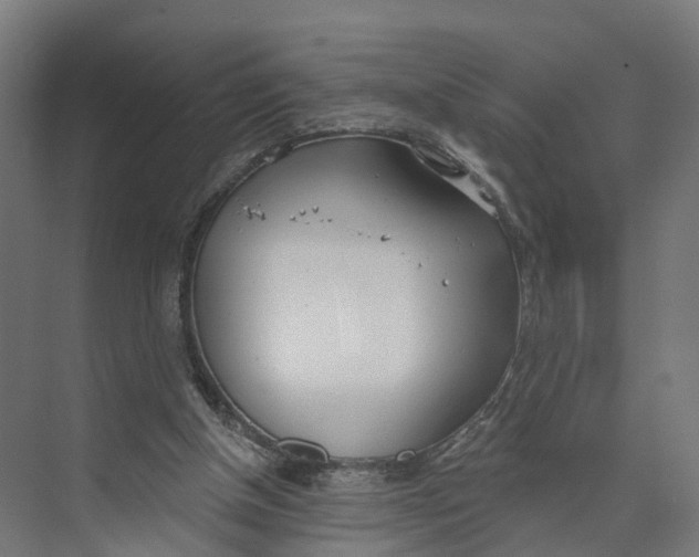 X0000073970154200609111751