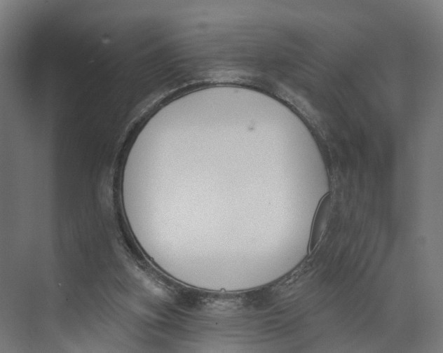 X0000073970155200609111751