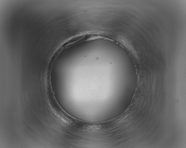 X0000073970156200609111751