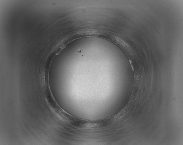 X0000073970158200609111751