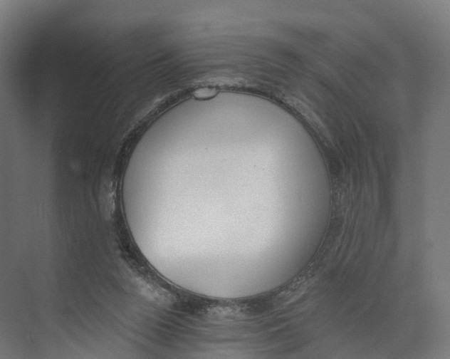 X0000073970160200609111751