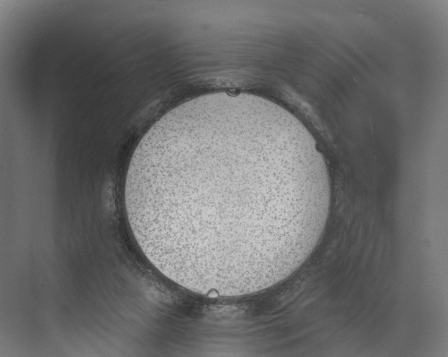 X0000073970161200609111751