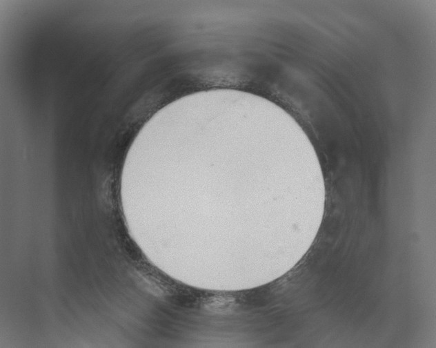 X0000073970162200609111751