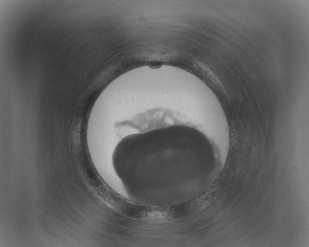 X0000073970163200609111751