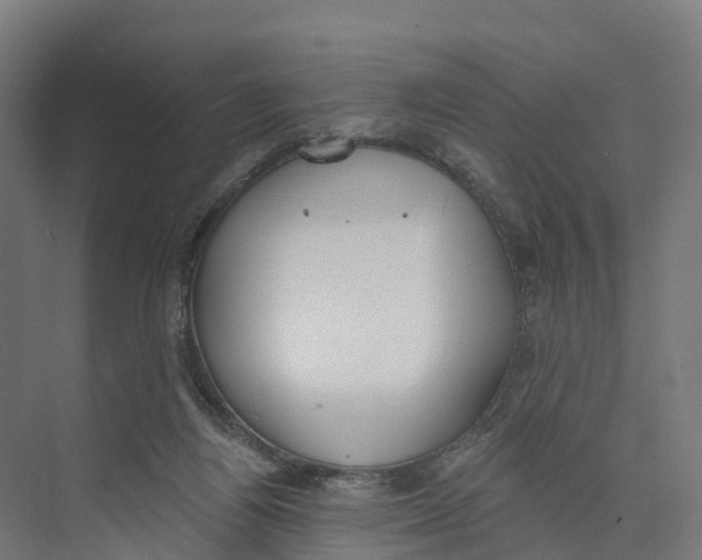 X0000073970164200609111751