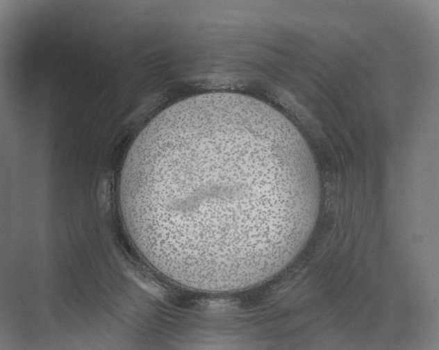 X0000073970165200609111751