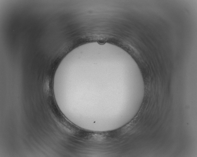 X0000073970166200609111751