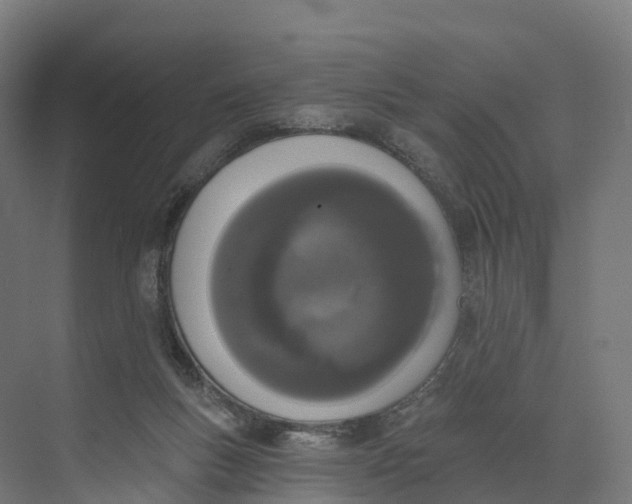 X0000073970167200609111751