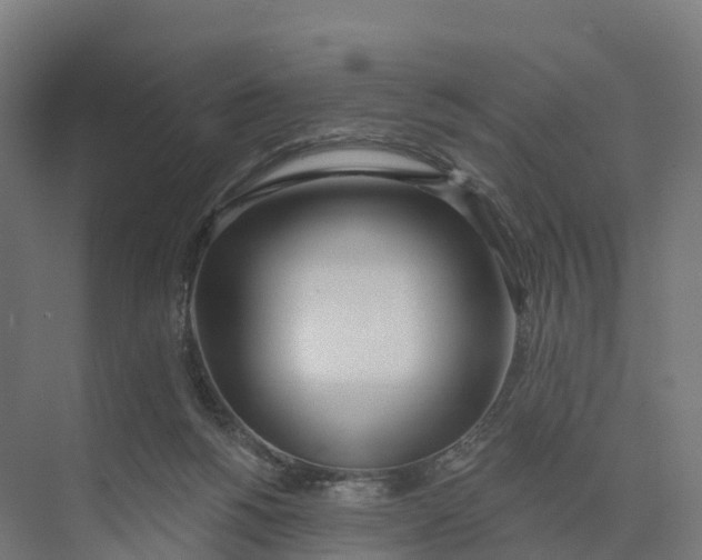 X0000073970168200609111751