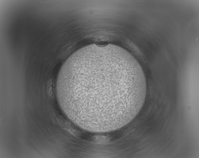 X0000073970169200609111751