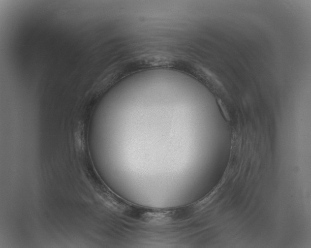 X0000073970170200609111751