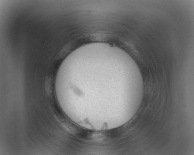 X0000073970171200609111751