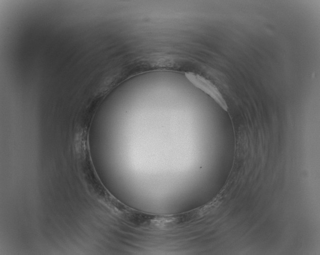 X0000073970172200609111751