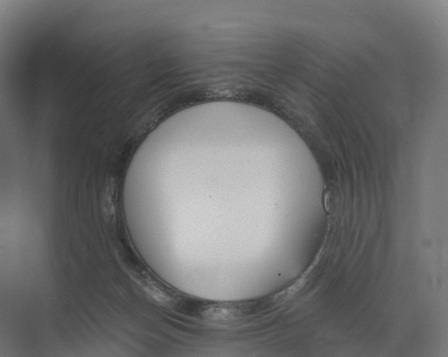 X0000073970174200609111751