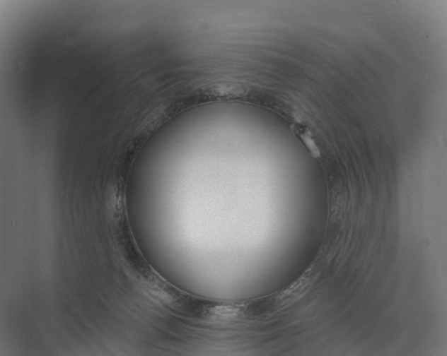 X0000073970176200609111751