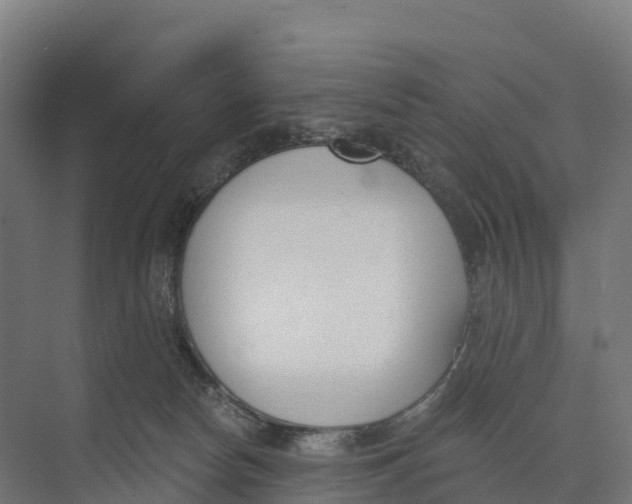 X0000073970178200609111751