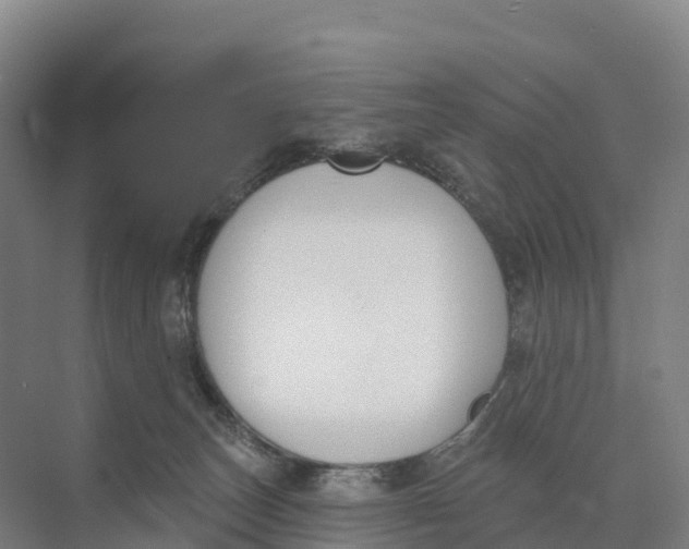 X0000073970179200609111751