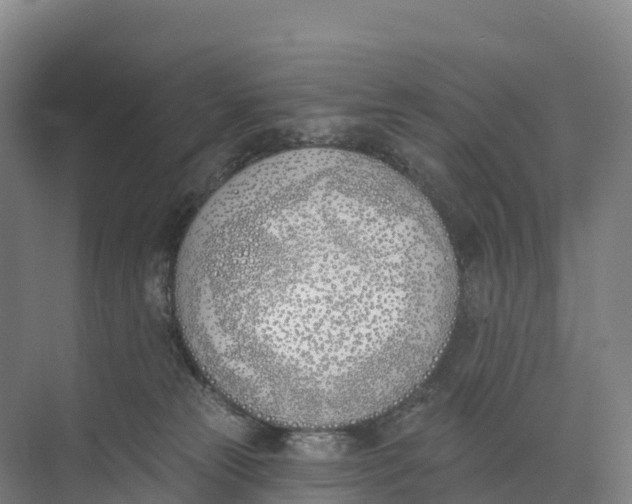 X0000073970181200609111751