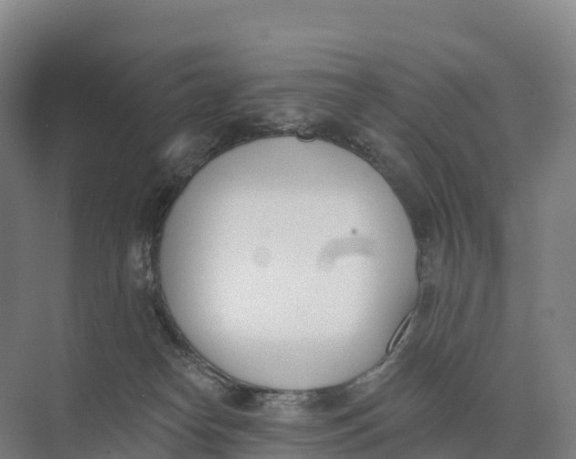 X0000073970182200609111751