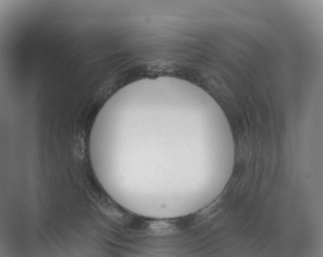 X0000073970183200609111751