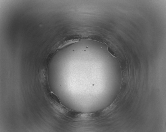 X0000073970184200609111751