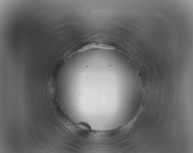 X0000073970186200609111751