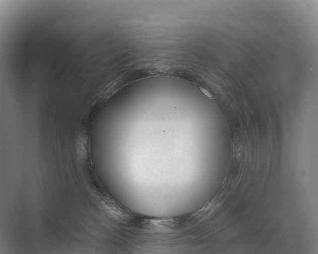 X0000073970188200609111751