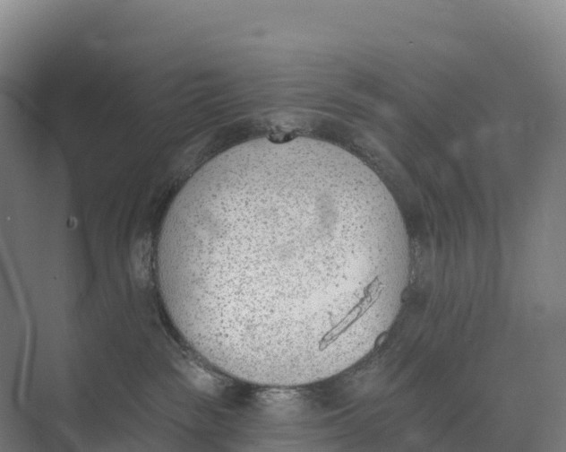 X0000073970189200609111751