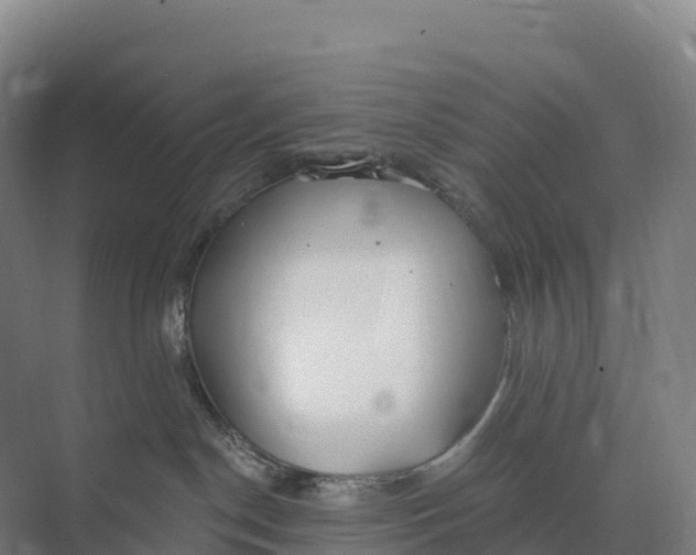 X0000073970190200609111751