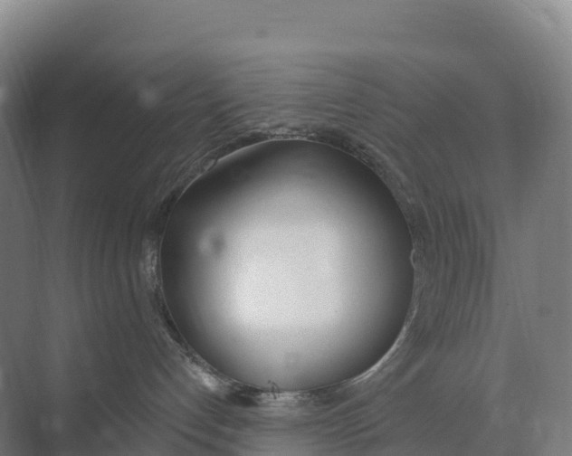 X0000073970192200609111751