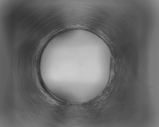 X0000073970193200609111751