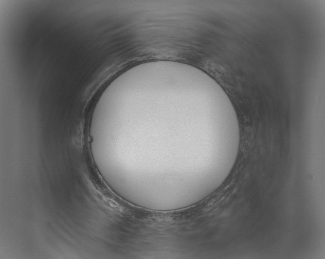 X0000073970194200609111751