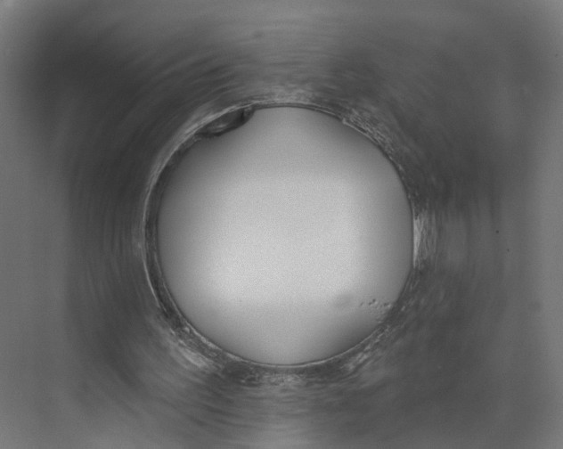 X0000073970195200609111751